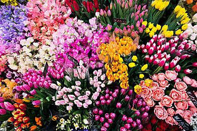 传PS6综合性能达到PS5的三倍 但价格维持不变